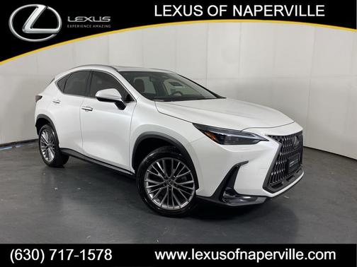 2023 Lexus NX 350 Luxury