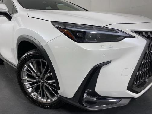 2023 Lexus NX 350 Luxury
