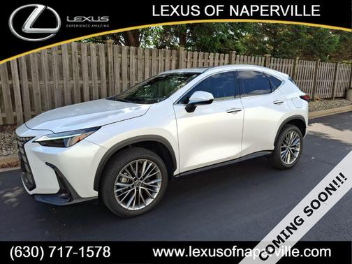 2023 Lexus NX 350 Luxury