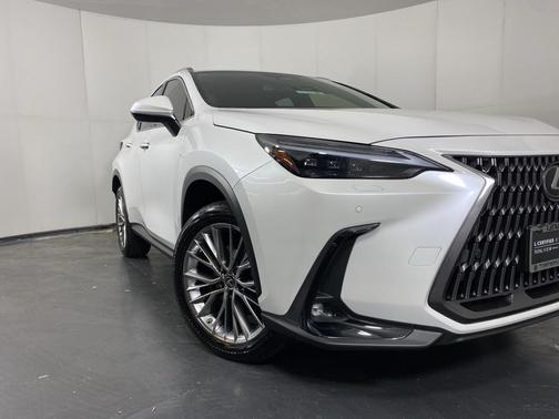 2023 Lexus NX 350 Luxury