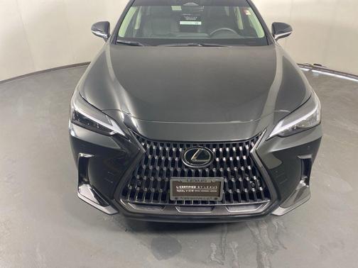 Caviar 2024 Lexus NX 250 Premium
