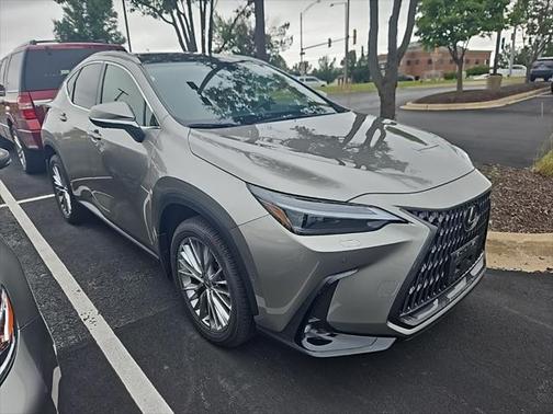 2025 Lexus NX 350h Luxury