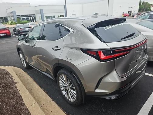 2025 Lexus NX 350h Luxury
