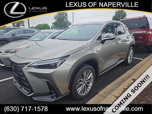 2025 Lexus NX 350h Luxury