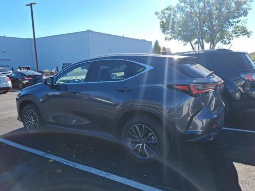 2025 Lexus NX 350h Luxury