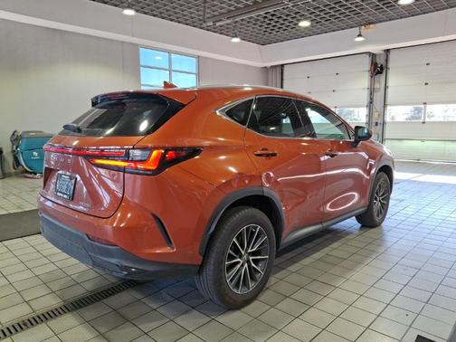 2022 Lexus NX 250 NX 250