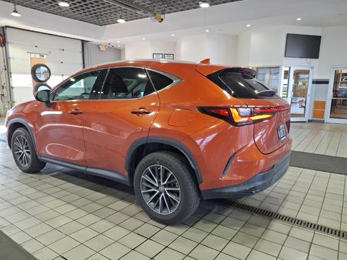 2022 Lexus NX 250 NX 250