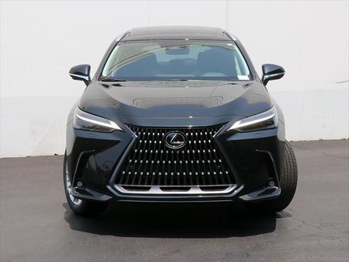 2025 Lexus NX 350h Luxury