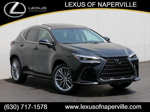 2025 Lexus NX 350h Luxury