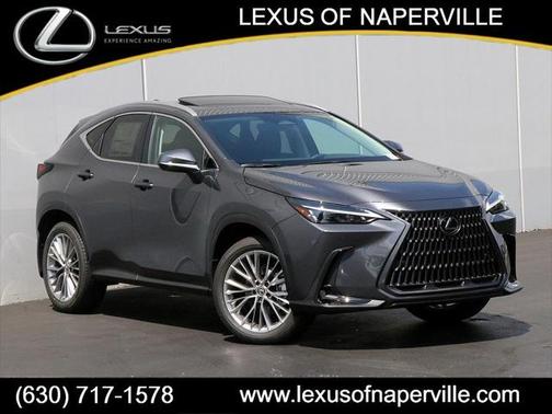 2025 Lexus NX 350 Premium