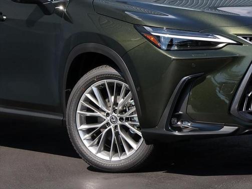 2025 Lexus NX 350h Luxury