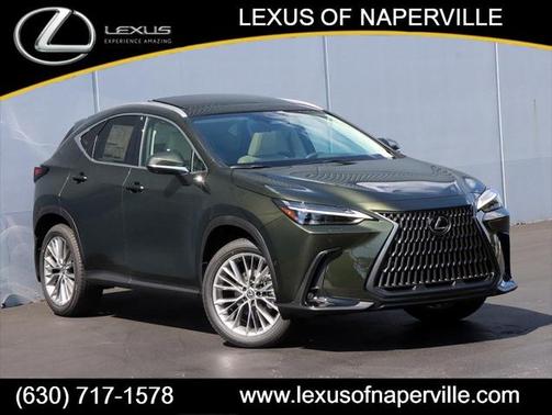 2025 Lexus NX 350h Luxury