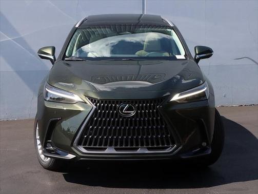 2025 Lexus NX 350h Luxury