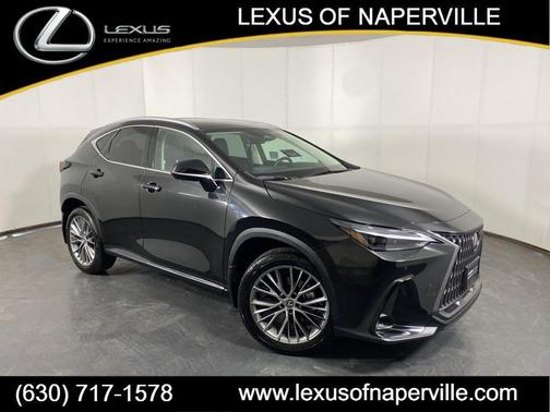 2024 Lexus NX 350 Luxury
