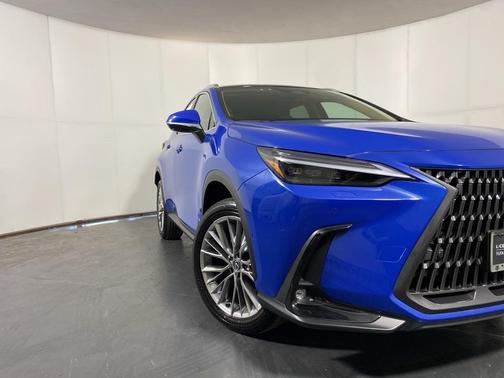 2025 Lexus NX 350h Luxury