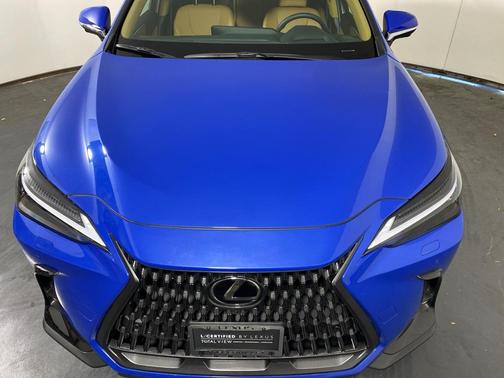 2025 Lexus NX 350h Luxury