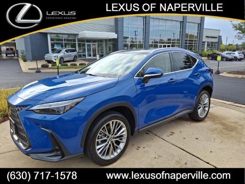 2025 Lexus NX 350h Luxury