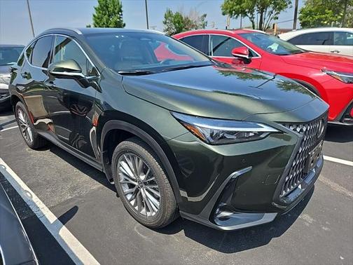 2025 Lexus NX 350h Premium