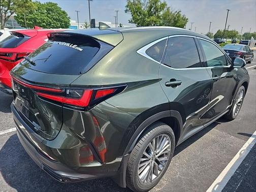 2025 Lexus NX 350h Premium