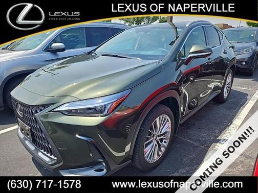 2025 Lexus NX 350h Premium