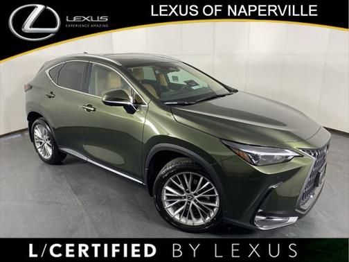 2025 Lexus NX 350h Premium