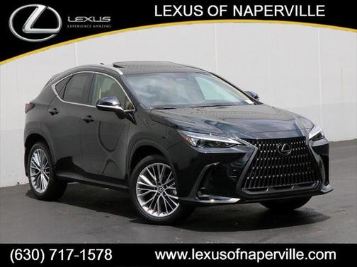 2025 Lexus NX 350 Premium