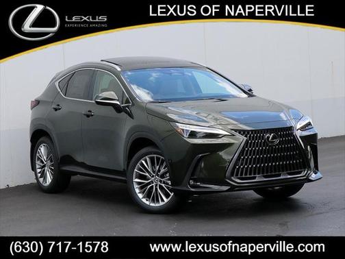 2025 Lexus NX 350 Luxury