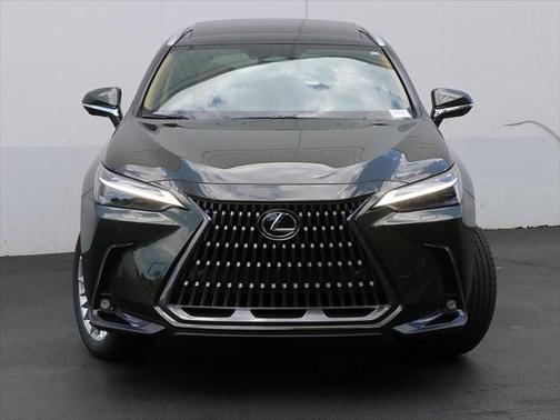 2025 Lexus NX 350 Luxury