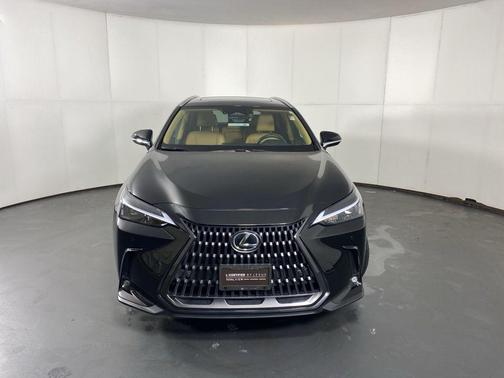 2025 Lexus NX 350 350 Base