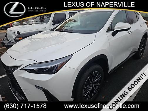 2025 Lexus NX 350 350 Base