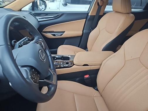 2025 Lexus NX 350 350 Base