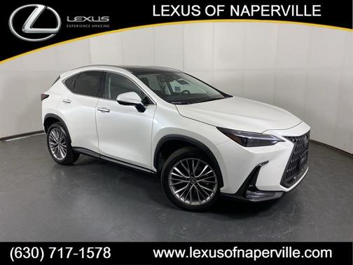 2024 Lexus NX 350 Luxury
