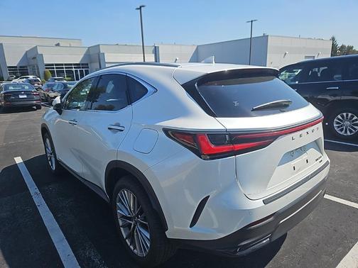 2024 Lexus NX 350 Luxury