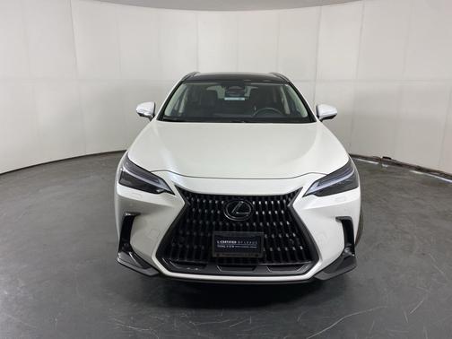 2024 Lexus NX 350 Luxury