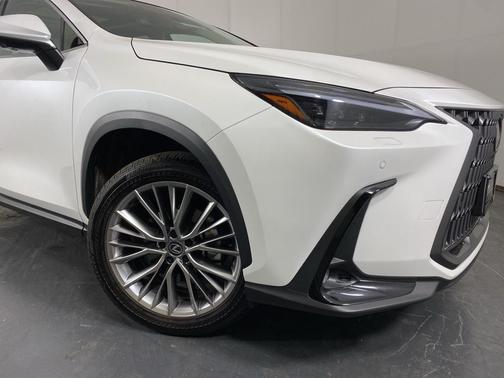 2024 Lexus NX 350 Luxury