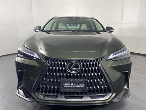 2025 Lexus NX 350h Luxury
