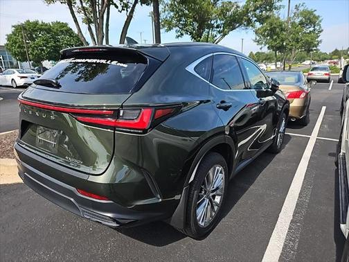 2025 Lexus NX 350h Luxury
