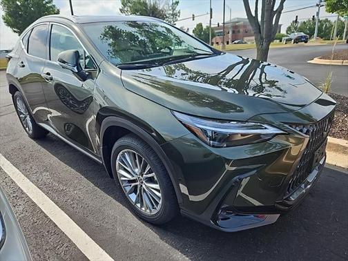 2025 Lexus NX 350h Luxury