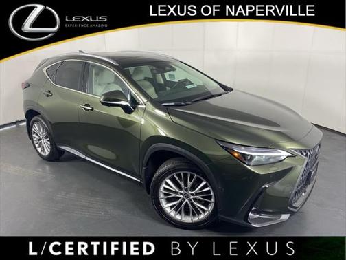 2025 Lexus NX 350h Luxury