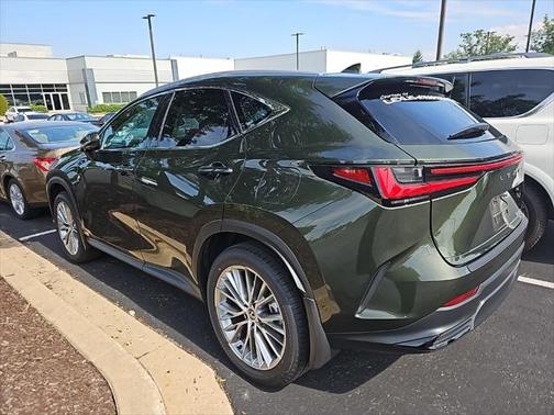 2025 Lexus NX 350h Luxury