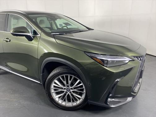 2025 Lexus NX 350h Luxury
