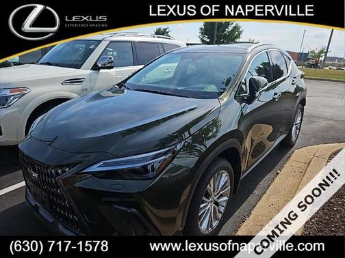 2025 Lexus NX 350h Luxury
