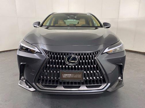 Cloudburst Gray 2025 Lexus NX 350 Premium