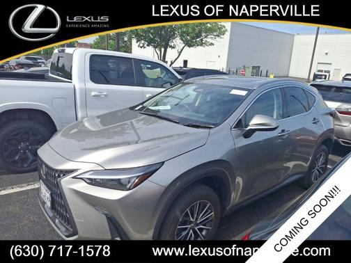 Atomic Silver 2025 Lexus NX 350h AWD