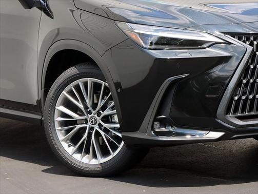 2025 Lexus NX 350 Luxury
