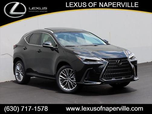 2025 Lexus NX 350 Luxury