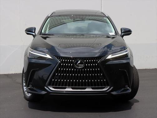 2025 Lexus NX 350 Luxury