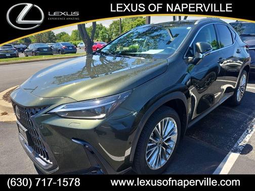 Nori Green Pearl 2025 Lexus NX 350 Luxury