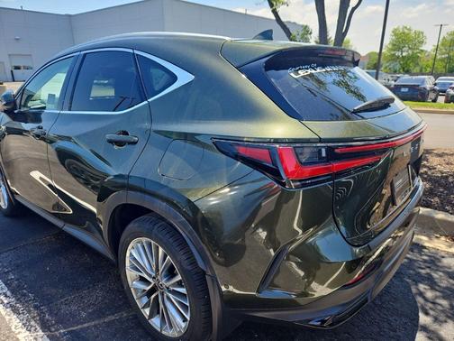 Nori Green Pearl 2025 Lexus NX 350 Luxury