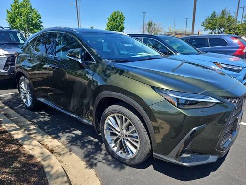 Nori Green Pearl 2025 Lexus NX 350 Luxury